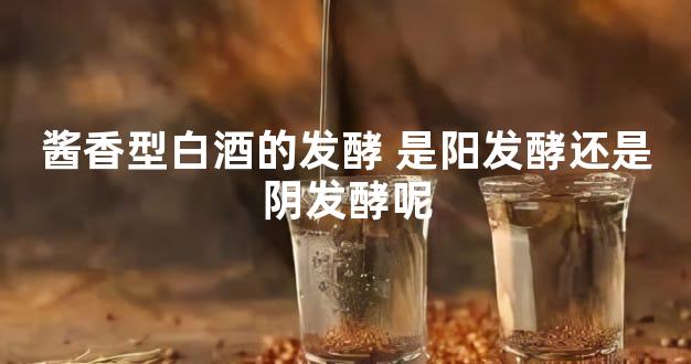 酱香型白酒的发酵 是阳发酵还是阴发酵呢